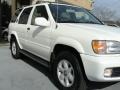 2000 Cloud White Nissan Pathfinder LE  photo #7