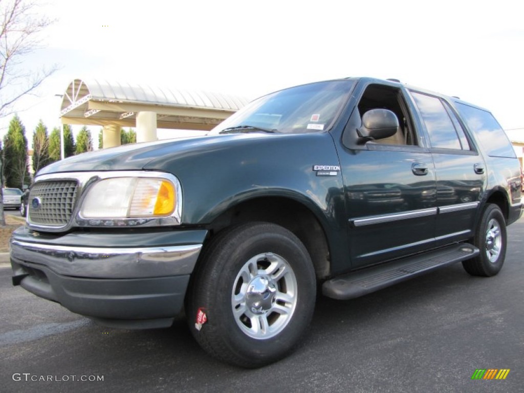 2001 Expedition XLT - Dark Highland Green Metallic / Medium Parchment photo #1