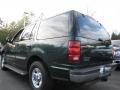 2001 Dark Highland Green Metallic Ford Expedition XLT  photo #2