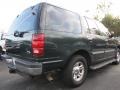 2001 Dark Highland Green Metallic Ford Expedition XLT  photo #3