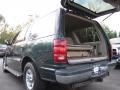 2001 Dark Highland Green Metallic Ford Expedition XLT  photo #9