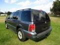 Medium Wedgewood Blue Metallic - Mountaineer AWD Photo No. 3