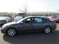 Dark Slate Metallic - Maxima 3.5 SE Photo No. 4