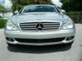 Iridium Silver Metallic - CLS 500 Photo No. 2