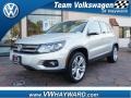 White Gold Metallic - Tiguan SEL 4Motion Photo No. 1