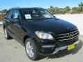Black - ML 350 4Matic Photo No. 1