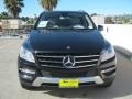 Black - ML 350 4Matic Photo No. 2