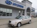Camel Pearl - Sonata GLS Photo No. 1
