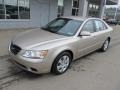 Camel Pearl - Sonata GLS Photo No. 2