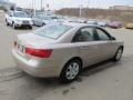 Camel Pearl - Sonata GLS Photo No. 7