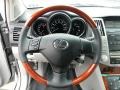 2009 Tungsten Pearl Lexus RX 350  photo #26