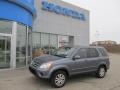 Pewter Pearl - CR-V Special Edition 4WD Photo No. 1