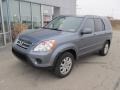 Pewter Pearl - CR-V Special Edition 4WD Photo No. 2