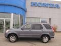 Pewter Pearl - CR-V Special Edition 4WD Photo No. 4
