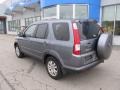 Pewter Pearl - CR-V Special Edition 4WD Photo No. 5