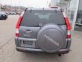 Pewter Pearl - CR-V Special Edition 4WD Photo No. 6
