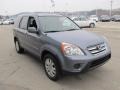 Pewter Pearl - CR-V Special Edition 4WD Photo No. 9