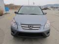 Pewter Pearl - CR-V Special Edition 4WD Photo No. 10