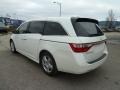 Taffeta White - Odyssey Touring Photo No. 3