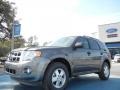 Sterling Gray Metallic - Escape XLT Photo No. 1