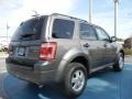 Sterling Gray Metallic - Escape XLT Photo No. 3