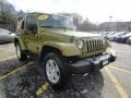 2007 Rescue Green Metallic Jeep Wrangler Sahara 4x4  photo #3