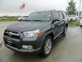 Magnetic Gray Metallic 2012 Toyota 4Runner Limited Exterior