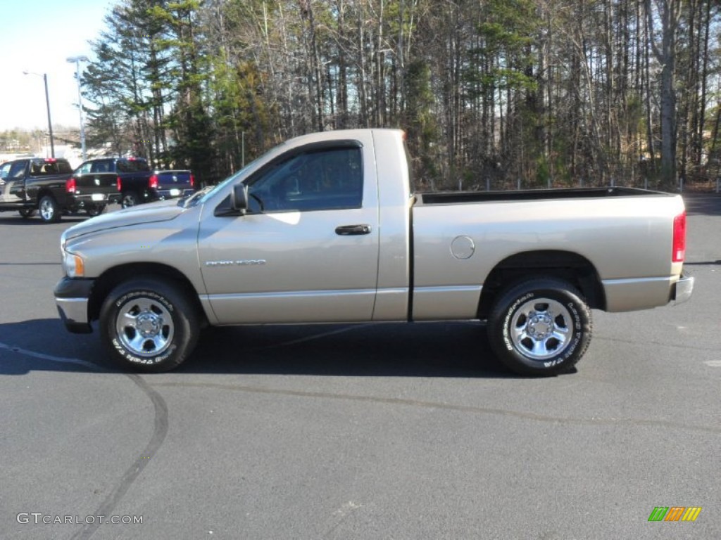 2004 Ram 1500 ST Regular Cab - Light Almond Pearl / Dark Slate Gray photo #3