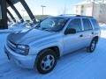 Silverstone Metallic - TrailBlazer LS 4x4 Photo No. 3