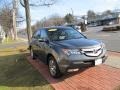 Nimbus Gray Metallic - MDX Technology Photo No. 3