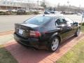 Nighthawk Black Pearl - TL 3.2 Photo No. 5