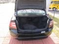 Nighthawk Black Pearl - TL 3.2 Photo No. 24