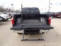 Black Trunk Photo for 2012 Ford F250 Super Duty #60192939