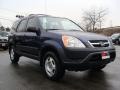 Eternal Blue Pearl - CR-V LX Photo No. 7