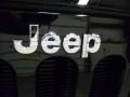 2012 Jeep Wrangler Call of Duty: MW3 Edition 4x4 Badge and Logo Photo