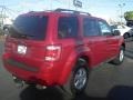 2009 Sangria Red Metallic Ford Escape XLT V6  photo #10