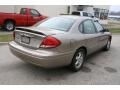 2006 Arizona Beige Metallic Ford Taurus SE  photo #6