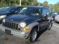 2005 Dark Khaki Pearl Jeep Liberty Sport 4x4  photo #3