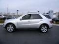 Iridium Silver Metallic 2009 Mercedes-Benz ML 350 4Matic Exterior