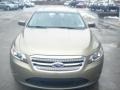 Ginger Ale - Taurus SEL AWD Photo No. 3