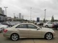 2012 Pearl Beige Metallic Mercedes-Benz E 350 Sedan  photo #4