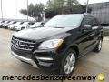 Black - ML 350 4Matic Photo No. 1