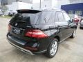 Black - ML 350 4Matic Photo No. 5