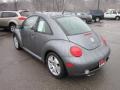 Platinum Grey Metallic - New Beetle Turbo S Coupe Photo No. 5