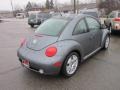 Platinum Grey Metallic - New Beetle Turbo S Coupe Photo No. 7