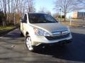 Borrego Beige Metallic - CR-V EX 4WD Photo No. 1