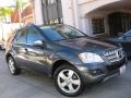 Steel Grey Metallic - ML 350 Photo No. 1