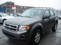 2009 Sterling Grey Metallic Ford Escape XLS  photo #4