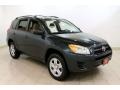 Black Forest Pearl - RAV4 4WD Photo No. 1