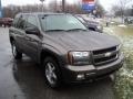 Desert Brown Metallic - TrailBlazer LS 4x4 Photo No. 3